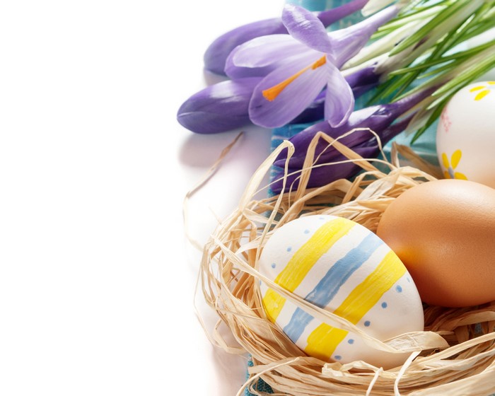 Easter eggs and purple crocuses in a nest