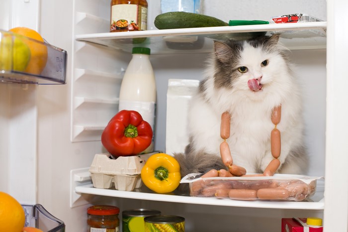 Cat in Refrigerator with Sausages and Bell Peppers