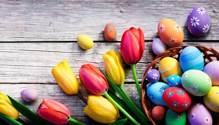Easter Eggs and Tulips on Wooden Background