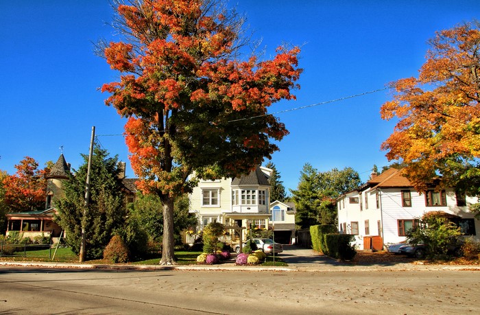 Street view of houses with autumn trees in Niagara Falls, Ontario, Canada
