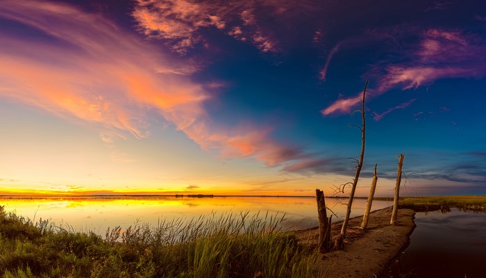 Sunset over a calm lake with dead trees