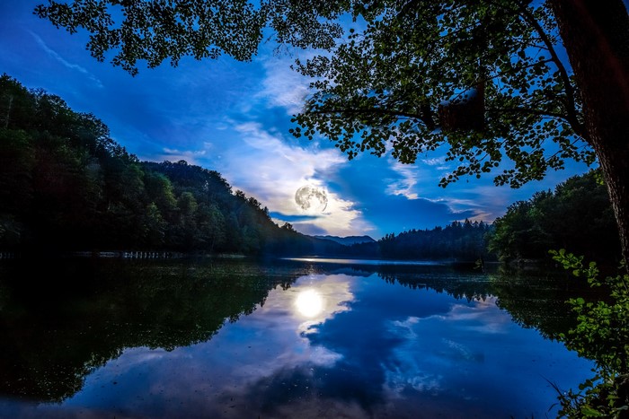 Moonlit lake and forest in Germany
