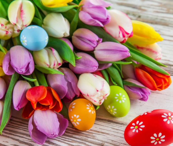 Easter Tulips and Decorated Eggs
