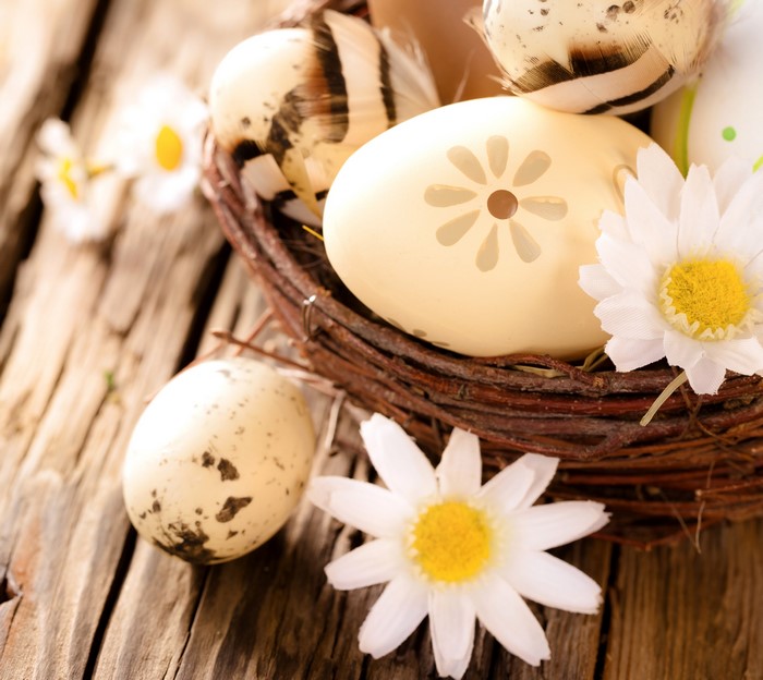 Easter eggs in a nest with flowers