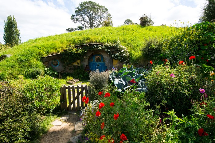 Hobbiton Park, New Zealand