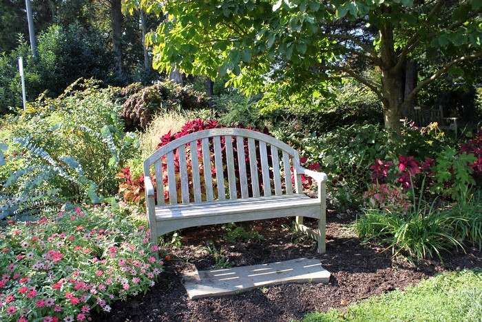 Park bench in a garden with flowers and trees