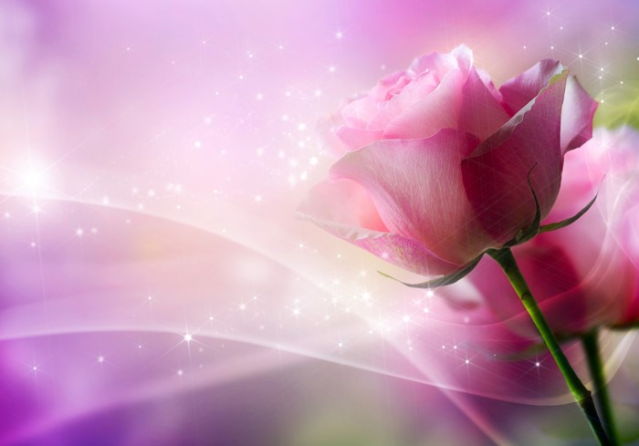 Pink Roses with Sparkles