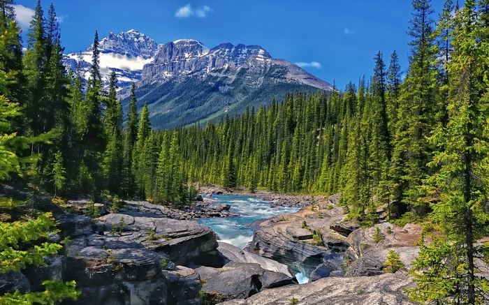 River flowing through a forest with snow-capped mountains