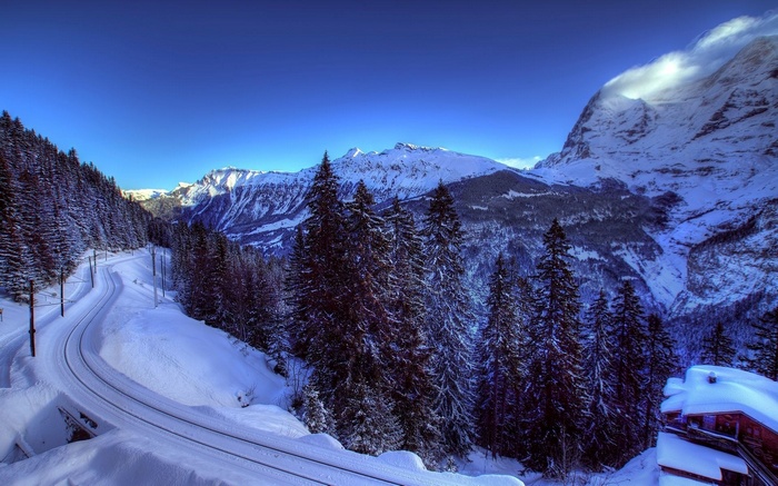 Snowy mountain landscape with train tracks and pine trees
