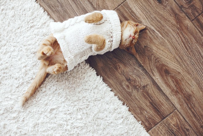 Ginger kitten wearing a white sweater sleeping on a rug