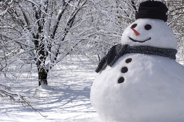 Snowman in a snowy forest