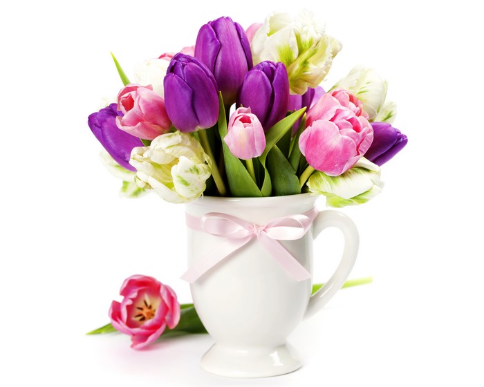 Tulips in a vase