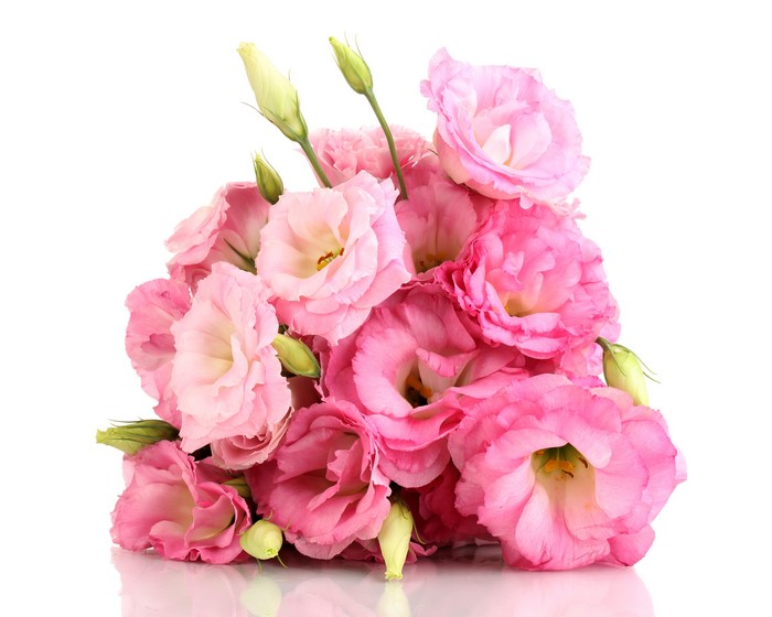 Pink Eustoma Flowers Bouquet