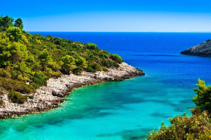 Rocky Coastline with Turquoise Water and Green Trees
