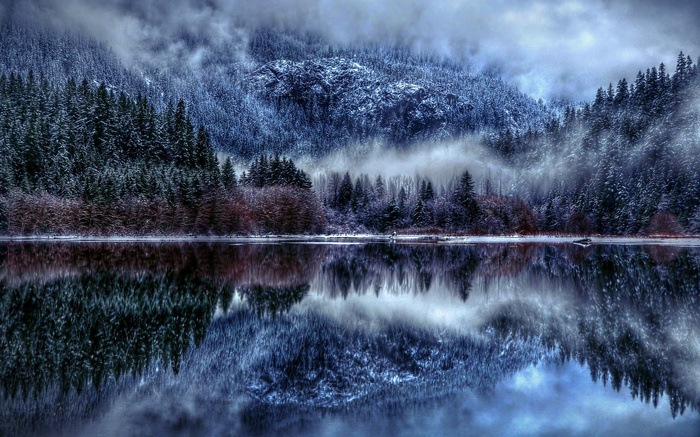 Snowy Forest Reflected in a Calm Lake