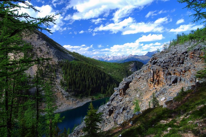 Lake Louise Canada Mountains and Forest