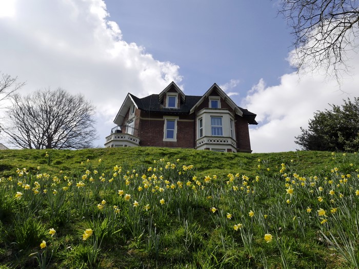 House on a hill with daffodils