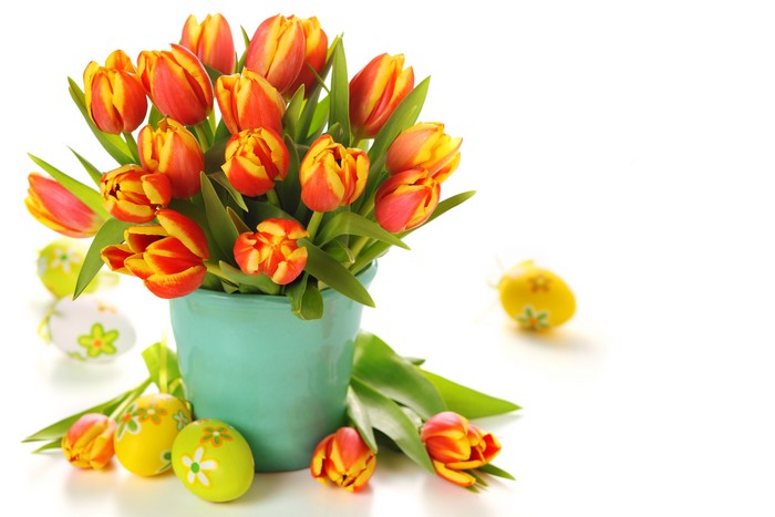 Easter Tulips and Eggs
