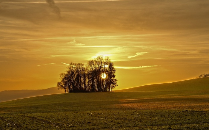Sunset over rolling hills with trees