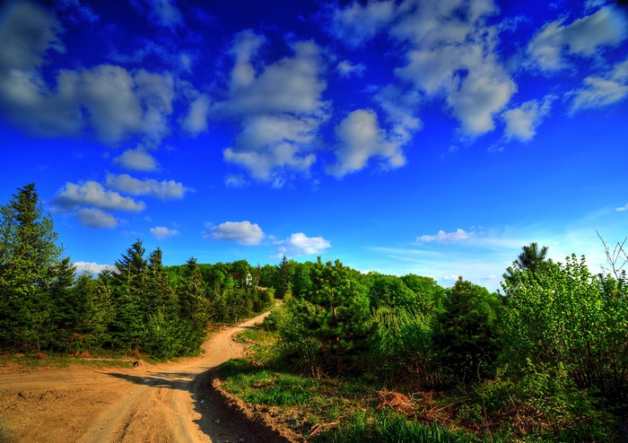 Roads and Forests under a Cloudy Sky
