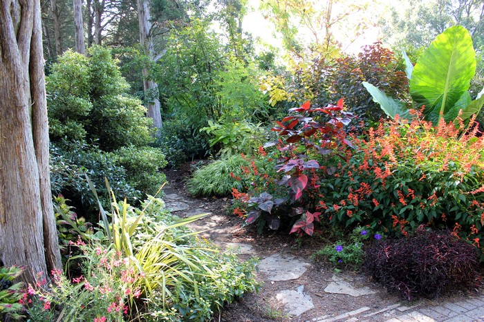 Garden path with colorful plants and trees
