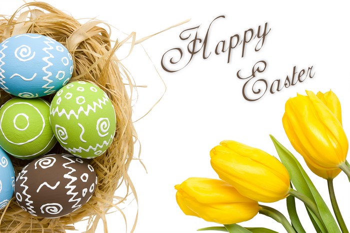 Easter eggs in a nest with yellow tulips