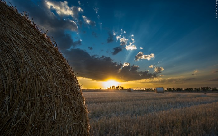 Hay bale in a field at sunset