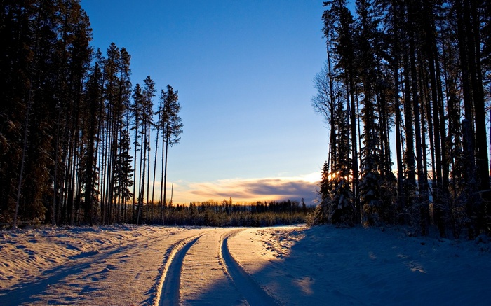 Snowy forest road at sunset