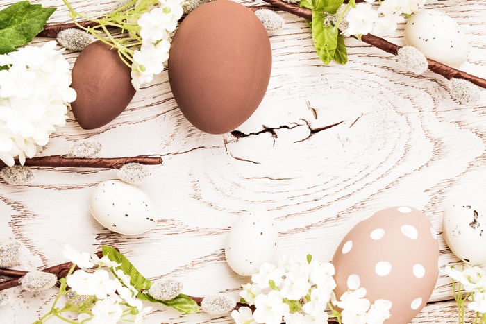 Easter Eggs and Pussy Willow Branches