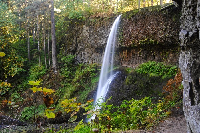 Waterfall in Silver Falls State Park, USA