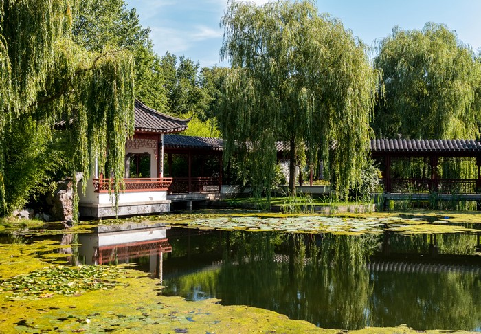Pagodas and willow trees reflected in a pond at Erholungspark Marzahn, Berlin
