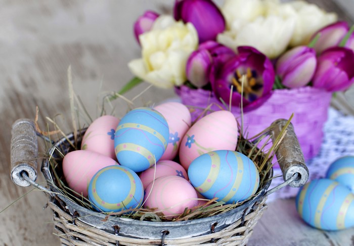 Easter eggs in a wicker basket with tulips