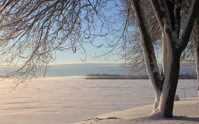 Snowy landscape with trees and frozen lake