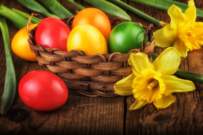 Easter Eggs in Wicker Basket with Daffodils