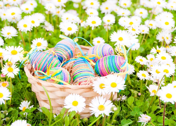 Easter eggs in a basket surrounded by daisies