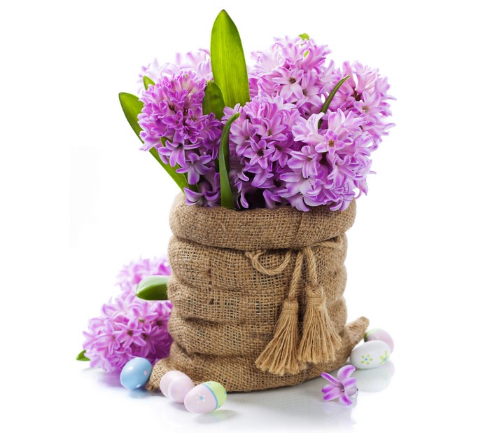 Purple Hyacinths in a Burlap Bag with Easter Eggs
