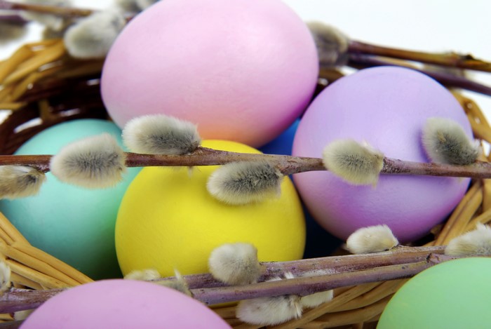 Easter Eggs in a Basket with Pussy Willow Branches
