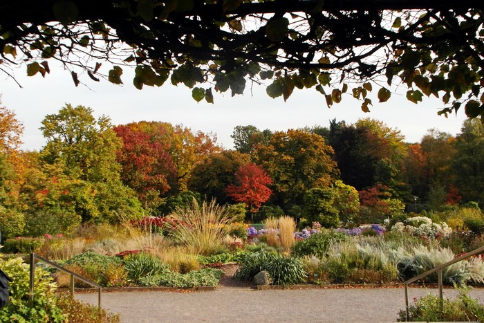 Autumn garden with colorful trees in Grugapark Essen