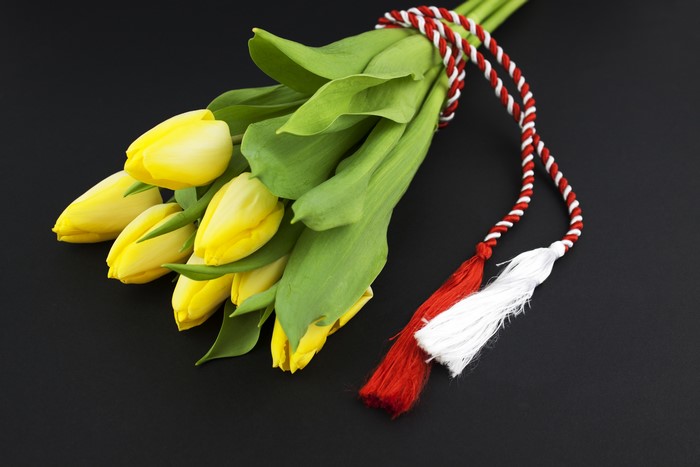 Yellow Tulips with Martenitsa