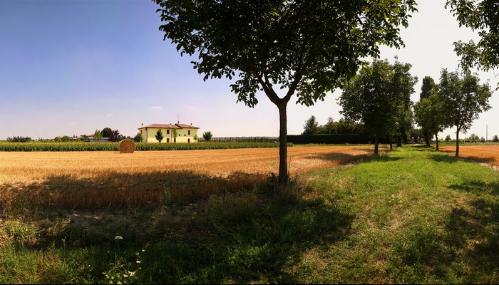 Wheat Field with Hay Bale and Farmhouse