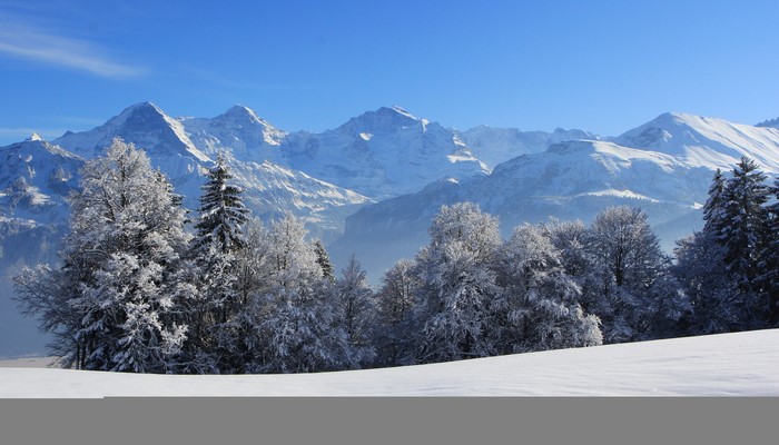 Snow-covered mountains and trees in Switzerland