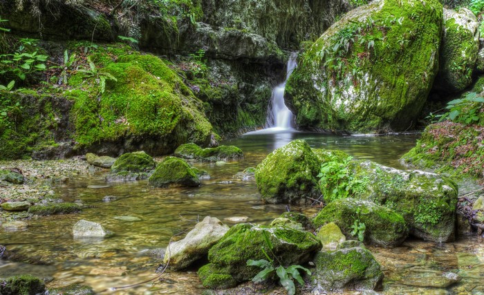 Stones with moss in Mondrago Veneto, Italy