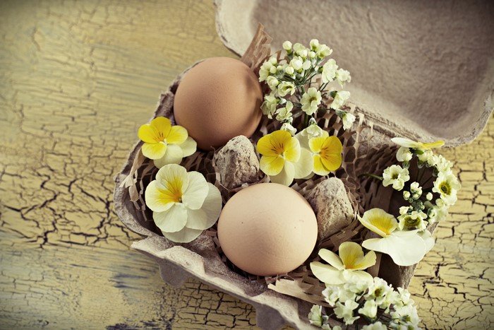 Easter eggs and pansies in an egg carton