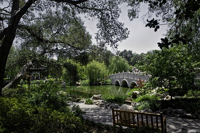 Huntington Botanical Gardens Pond with Bridge and Bench