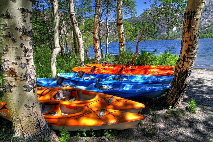 Kayaks lined up by a lake in June Lake, California