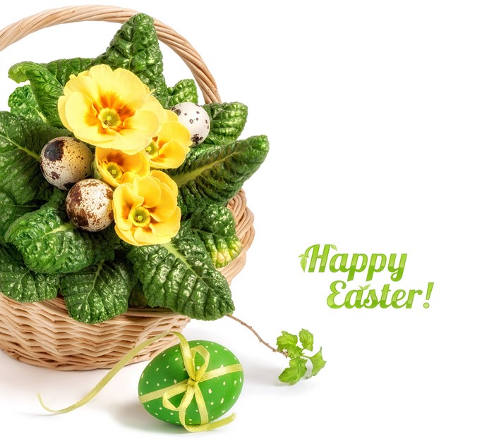 Easter basket with yellow primroses and eggs