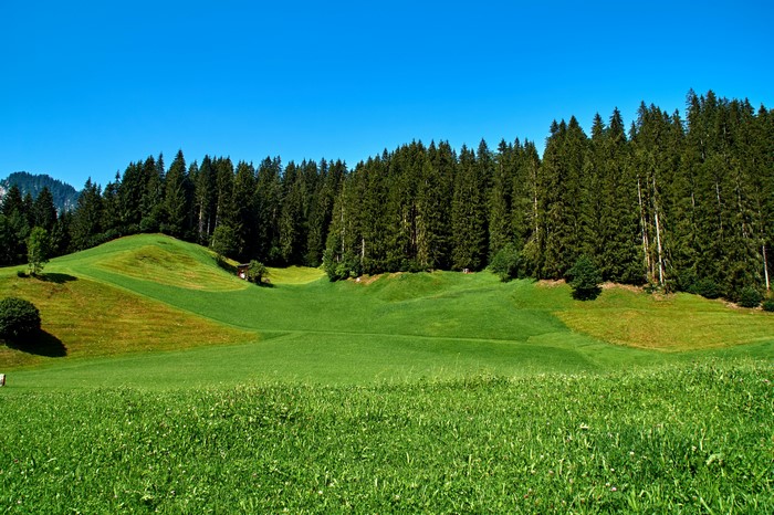 4K Scenery of Obernau, Germany Forests and Grasslands