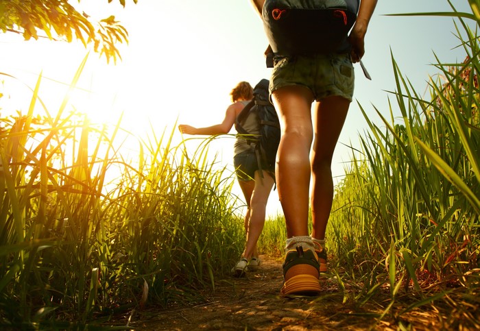 Two hikers walking on a path through tall grass