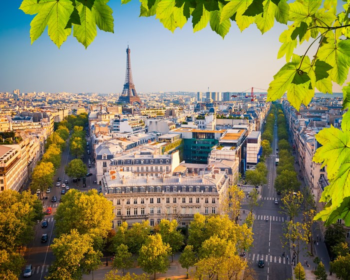 Paris street with Eiffel Tower and trees