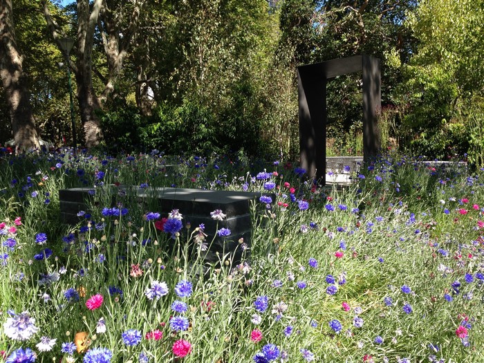 Park with Cornflowers and Trees